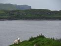 2014_06_Scotland_Day_06_Isle_of_Skye (29)